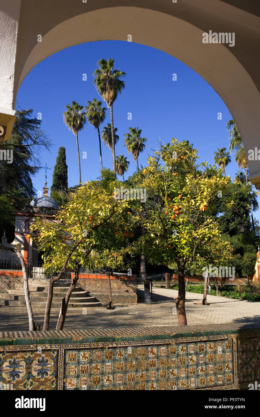 View from the Cenador de Carlos V in the Jardín del Cenador de la Alcoba, Real Alcázar Gardens, Sevilla, Andalusia, Spain Stock Photo