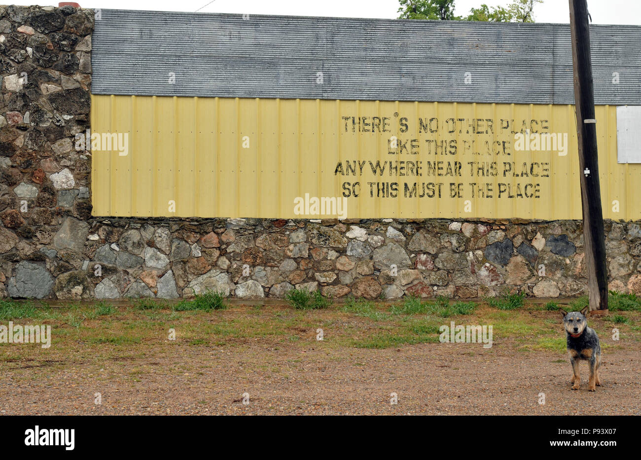 A dog stands near a bar in Texola, Oklahoma with a quirky poem or saying painted on an exterior wall. Texola lies near the Texas border on Route 66. Stock Photo