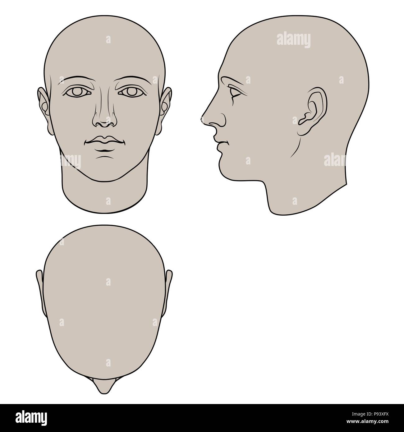 Hand drawn human head in face, profile and top views. Flat vector isolated on white background. The drawings can be used independently of each other. Stock Vector