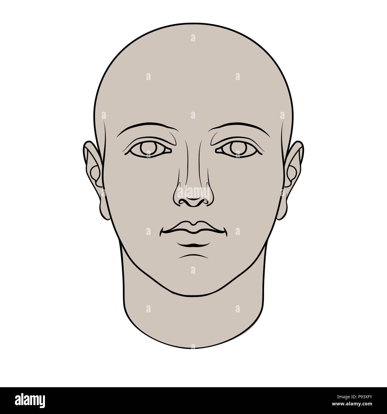 Hand drawn human head in face. Colorable flat vector isolated on white background. Stock Vector