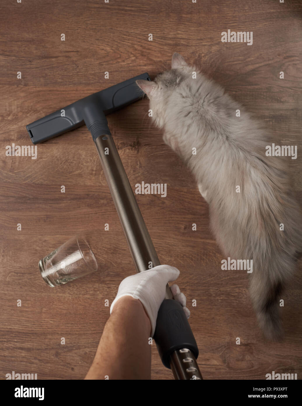 Dust after cleaning house hi-res stock photography and images - Alamy