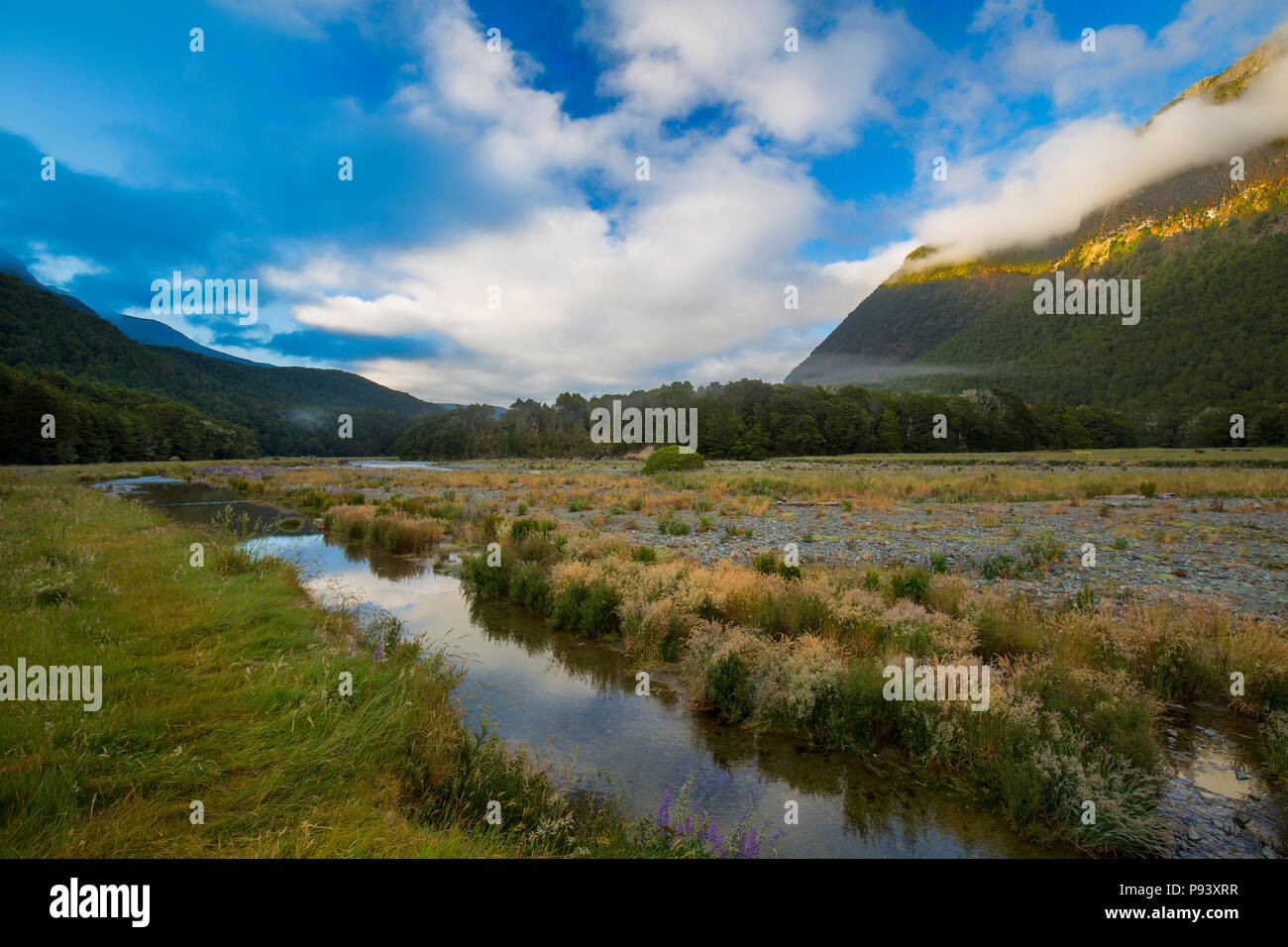 New Zealand Landscapes Stock Photo