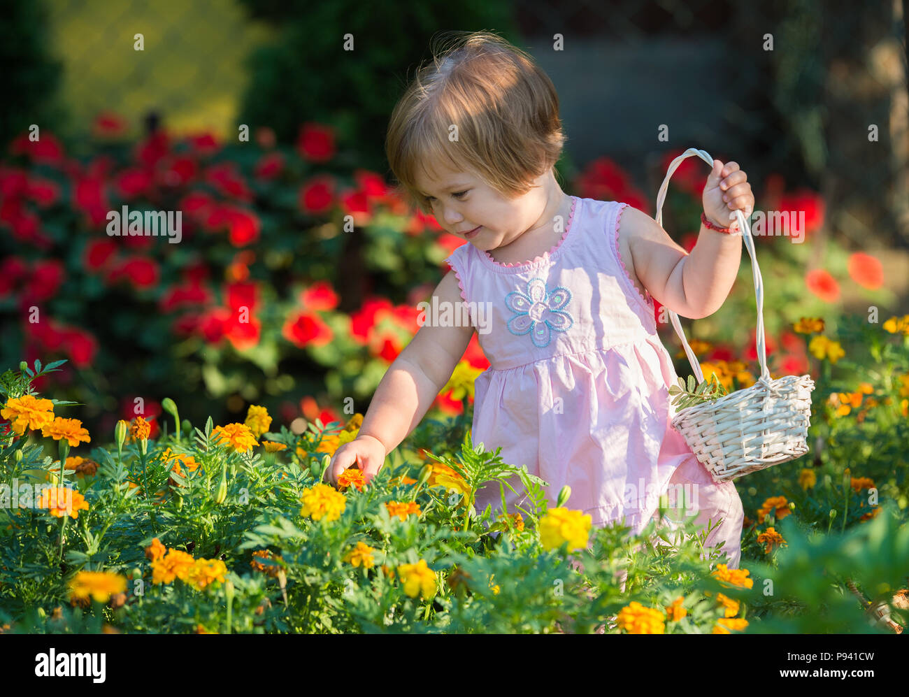 дети на лугу. собирать цветы. девочки собрали в саду цветы. ребенок с луговыми цветами. собирать цветы.