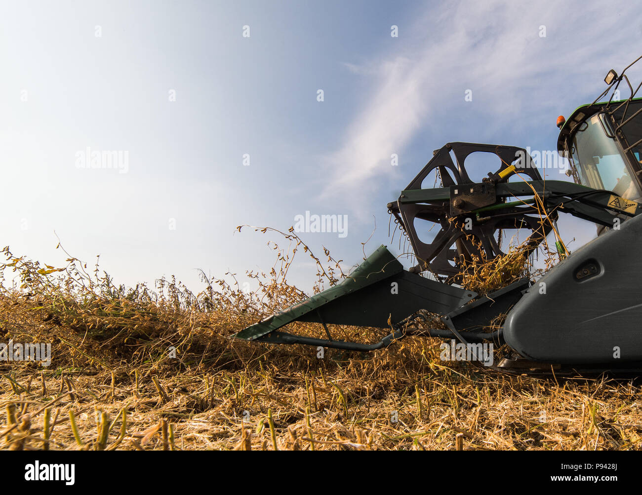 Harvesting of soybean field with combine Stock Photo Alamy