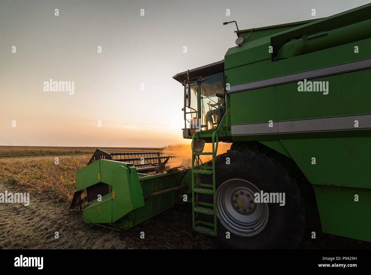 Harvesting of soybean field with combine Stock Photo Alamy