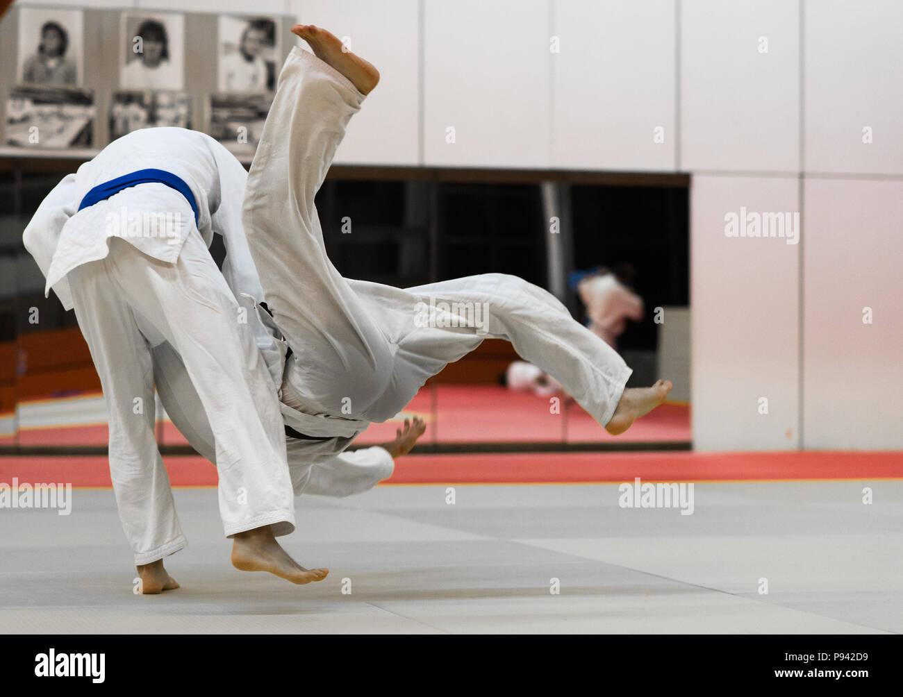 Judo training in the sports hall Stock Photo Alamy