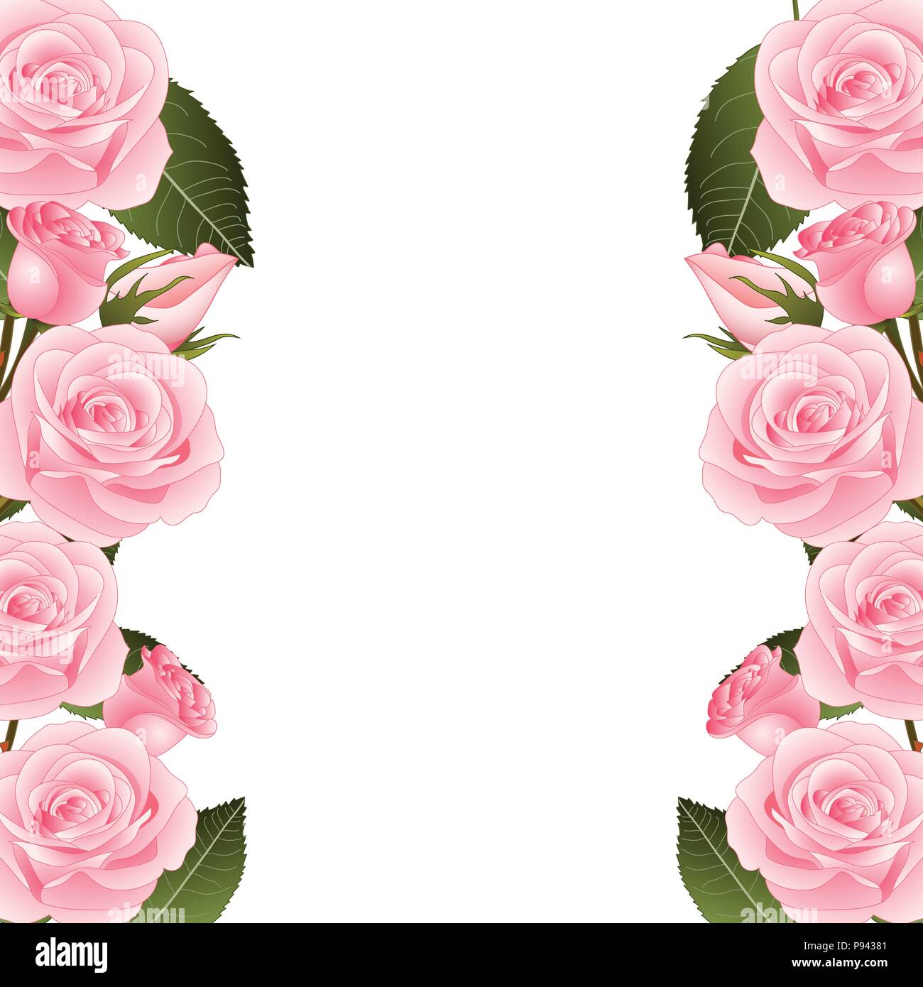 Pink Rose Flower Frame Border. isolated on White Background. Vector  Illustration Stock Vector Image & Art - Alamy