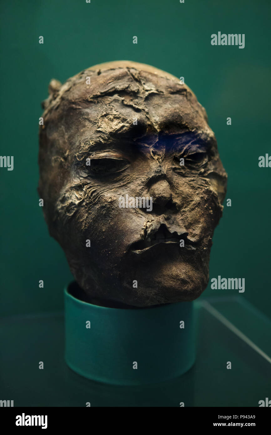 Mummified head of a chief from the Pazyryk burial site dated from the 5th or 4th century BC on display in the Hermitage Museum in Saint Petersburg, Russia. Stock Photo