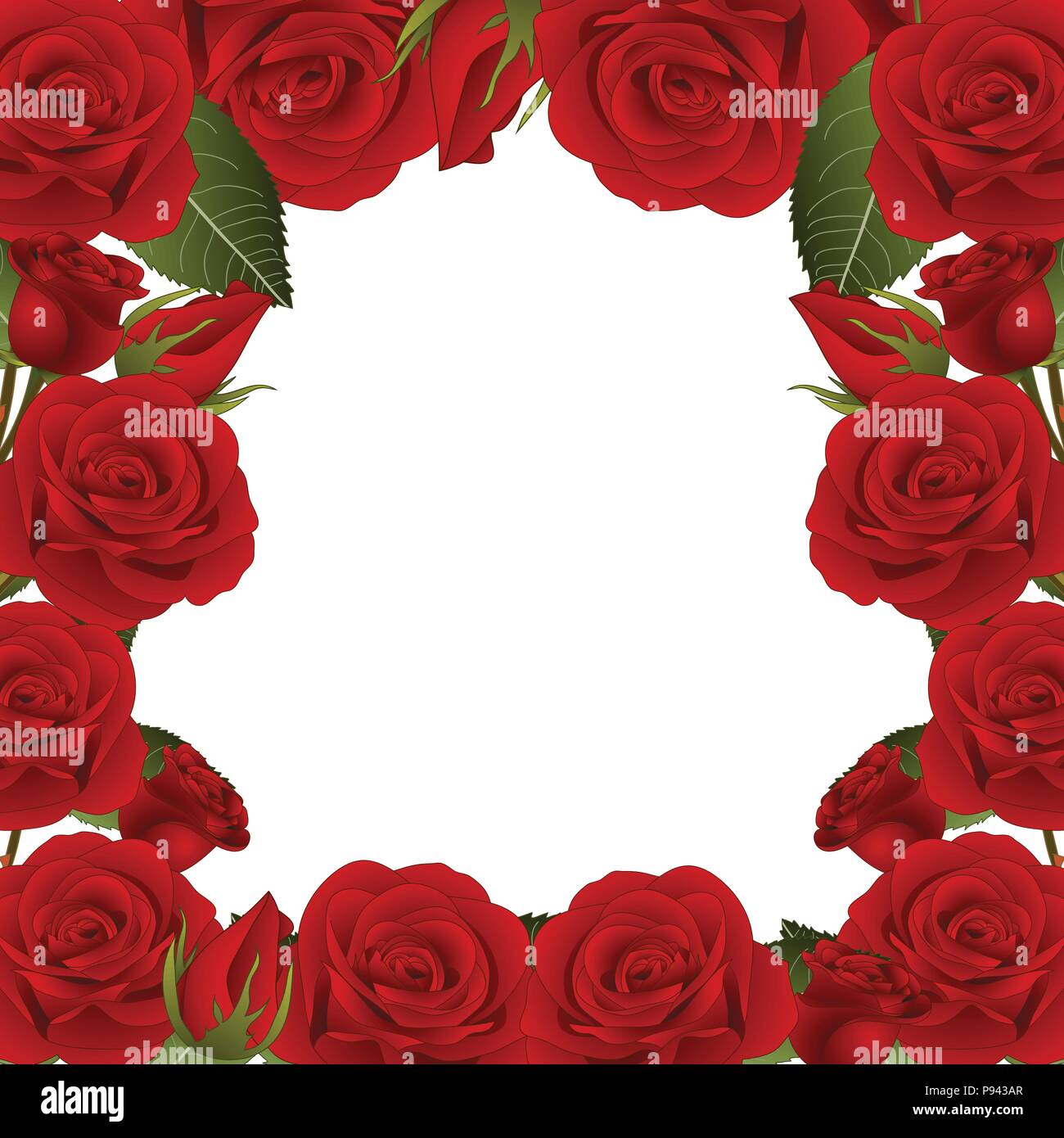 Red Rose Flower Frame Border. isolated on White Background. Vector  Illustration Stock Vector Image & Art - Alamy