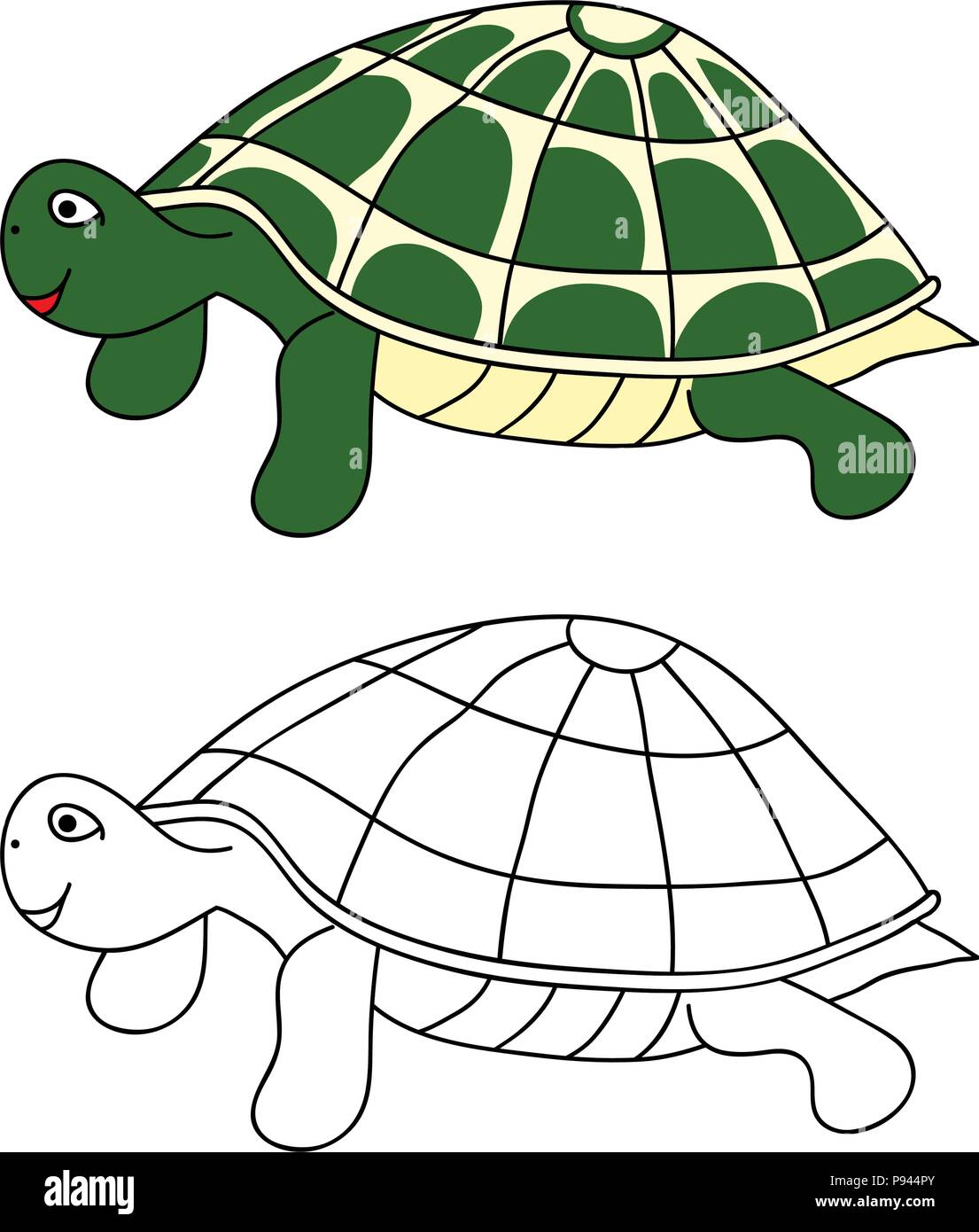 Green Turtle Vector Illustration. isolated on White Background. Stock Vector