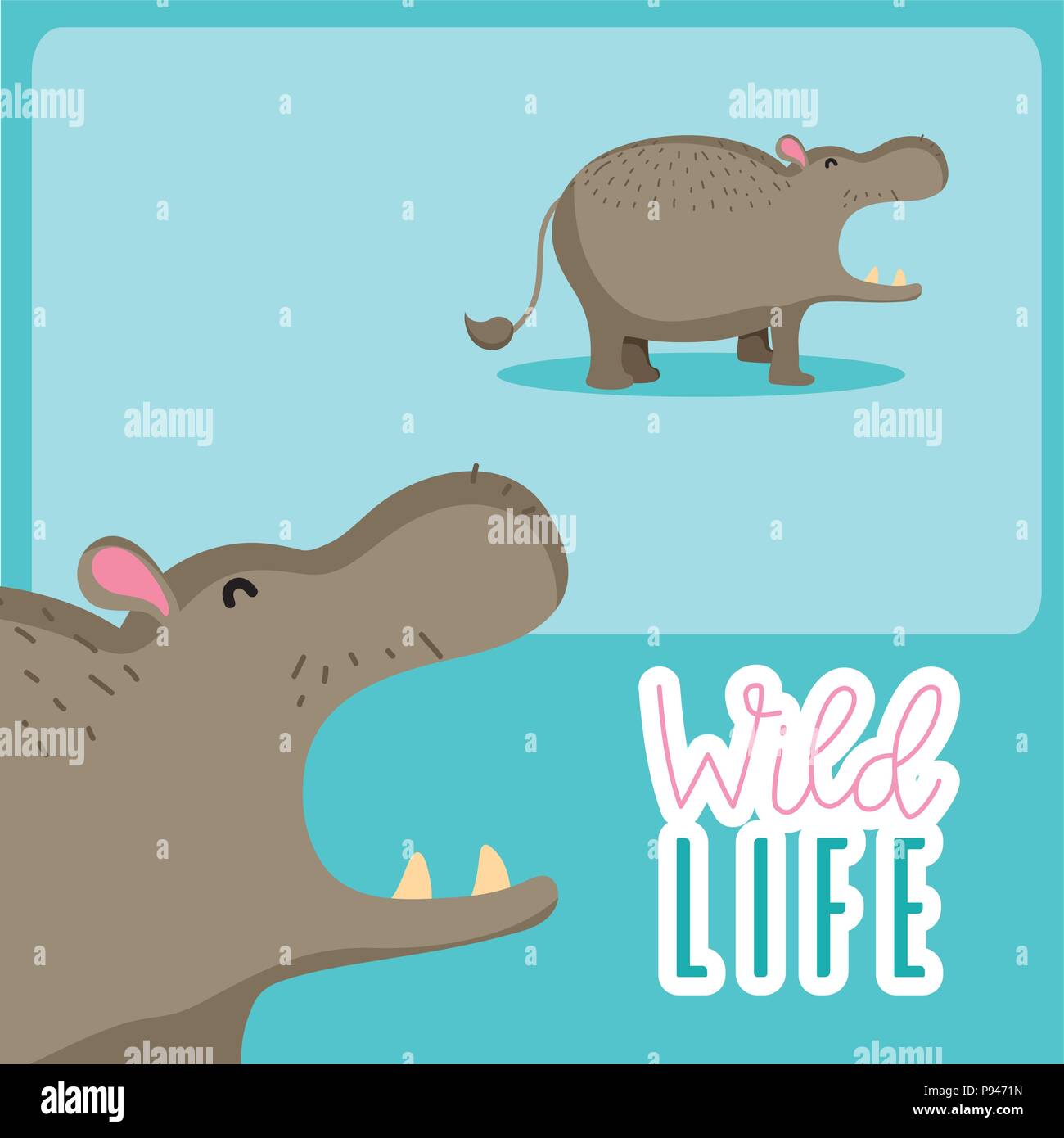 Hippo wildlife animal cute cartoon vector illustration graphic design ...