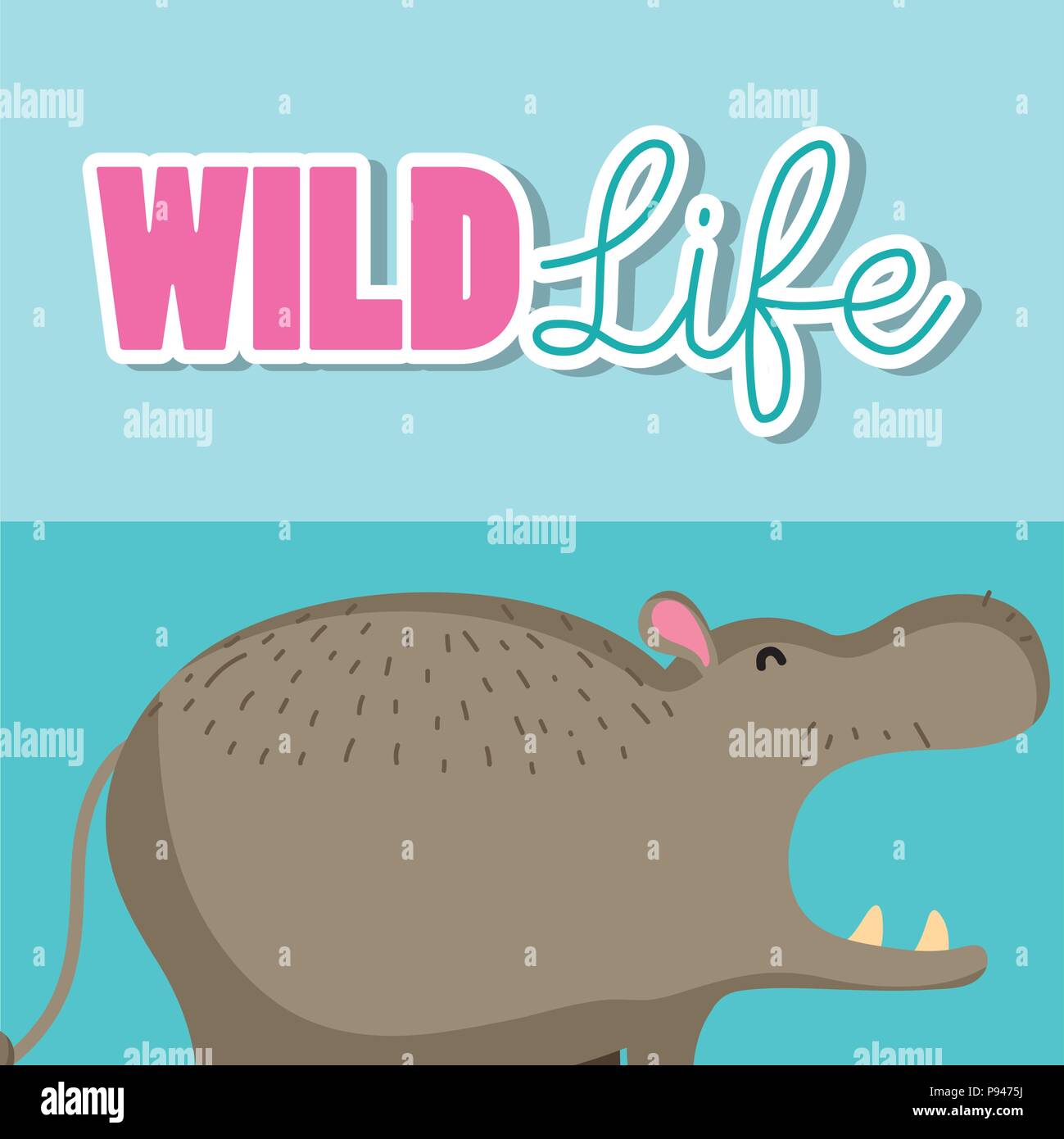 Hippo wildlife animal cute cartoon vector illustration graphic design ...