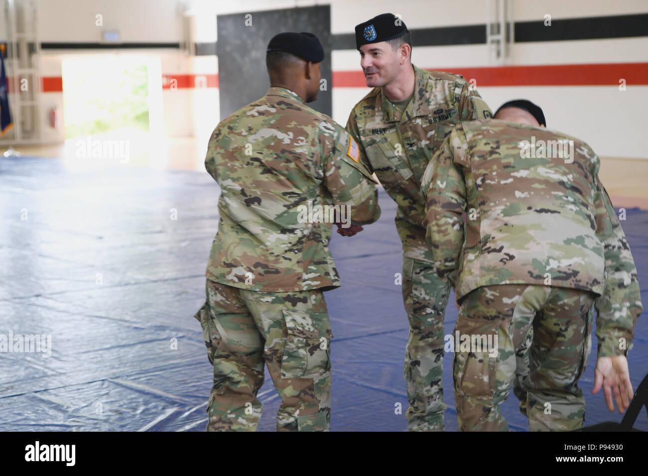 U.S. Army NATO Brigade North Atlantic Treaty Organization Brigade ...