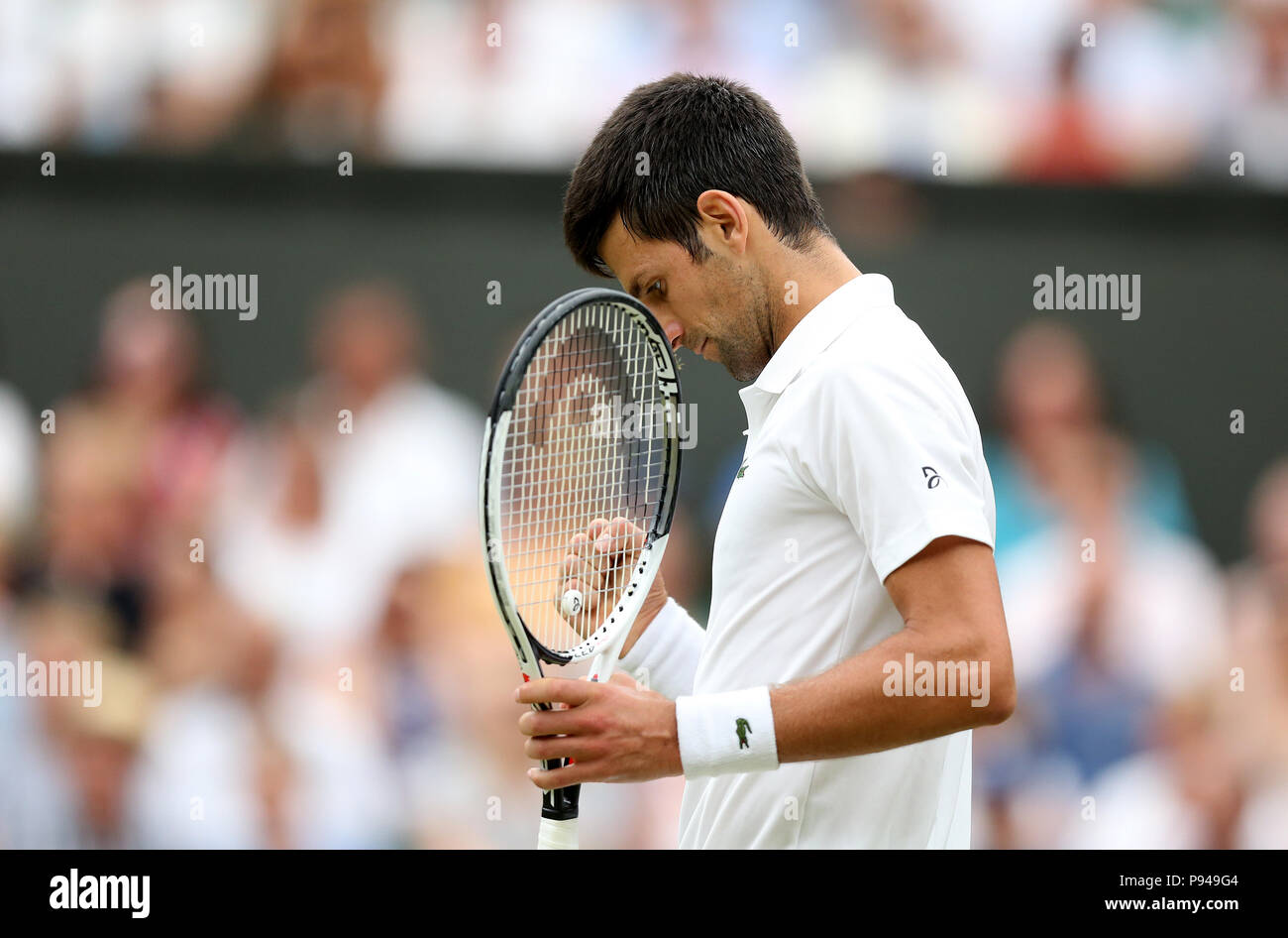 Novak Djokovic on day twelve of the Wimbledon Championships at the All England Lawn Tennis and Croquet Club, Wimbledon. Stock Photo