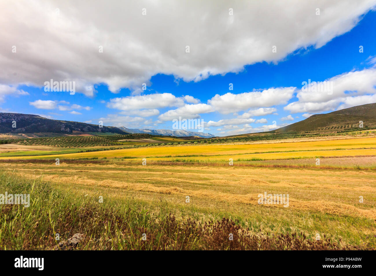Landscape of golden fields and clouds, Granada Province, Spain Stock Photo