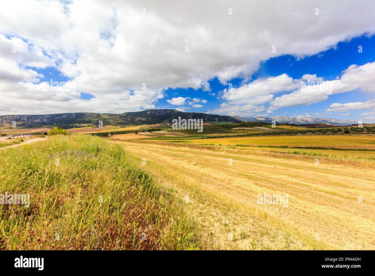 Landscape of golden fields and clouds, Granada Province, Spain Stock Photo