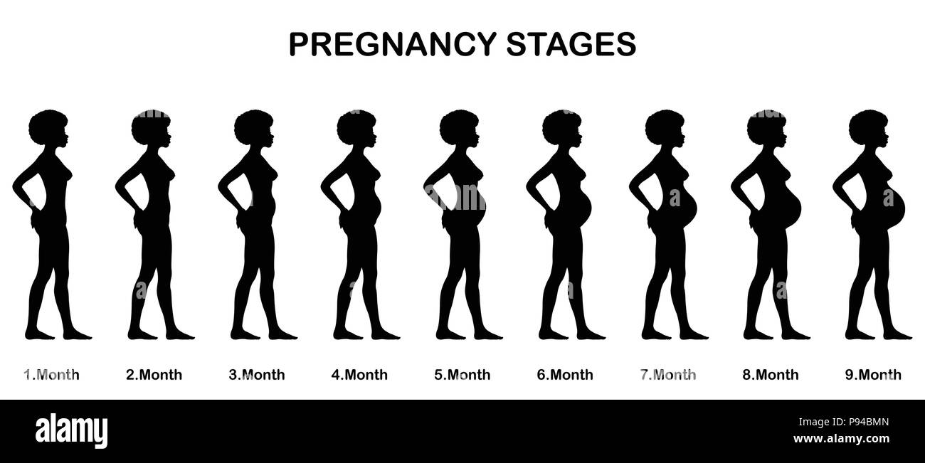 Pregnancy stages sihouettes. All the objects and body