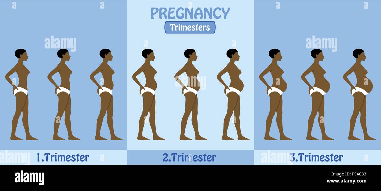 Pregnancy Trimesters of African pregnant woman with pants. All the ... Pregnancy Trimesters of African pregnant woman with pants. All the ...