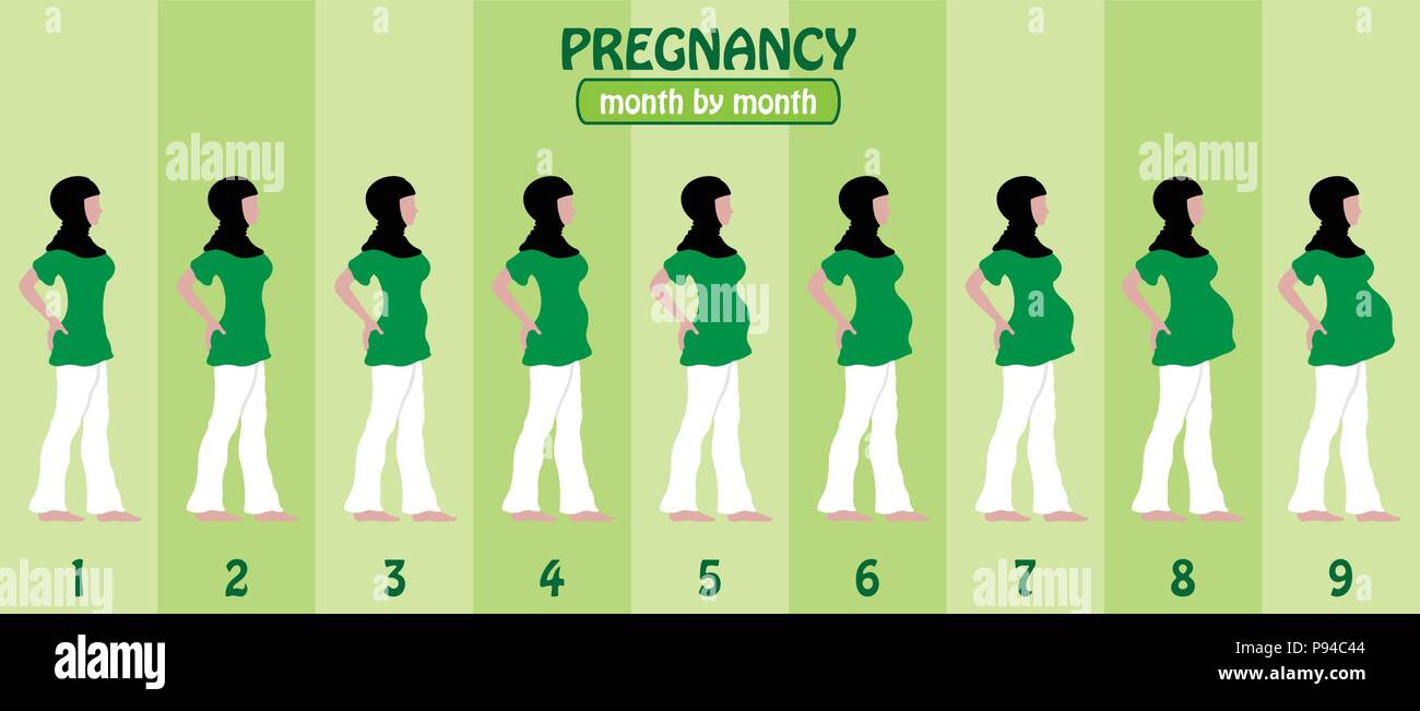 Month By Month Pregnancy Stages Of Pregnant Muslim Woman With
