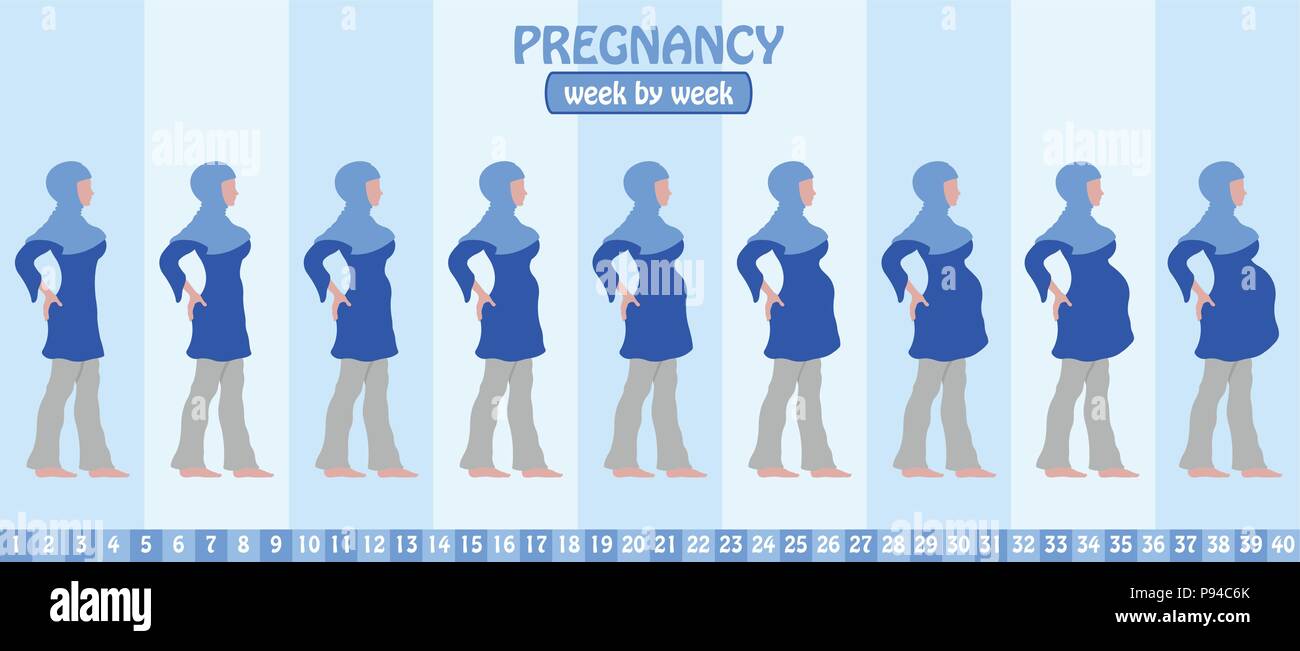 Week by week pregnancy stages of pregnant muslim woman with islamic