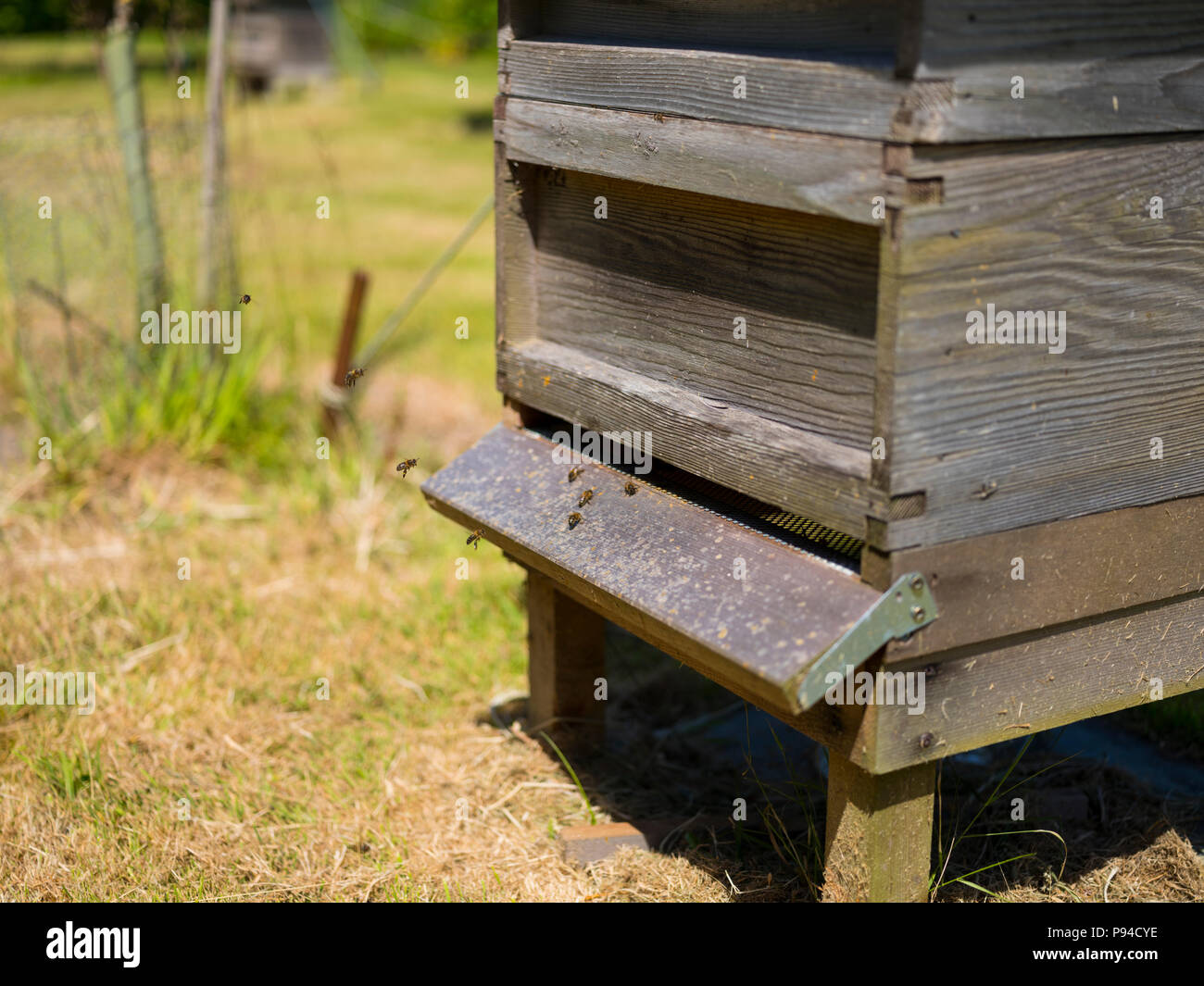 Beehive hut and uk hires stock photography and images Alamy