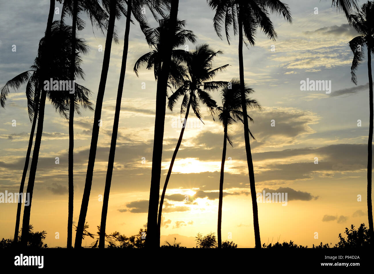 Sunset  in Aceh Stock Photo
