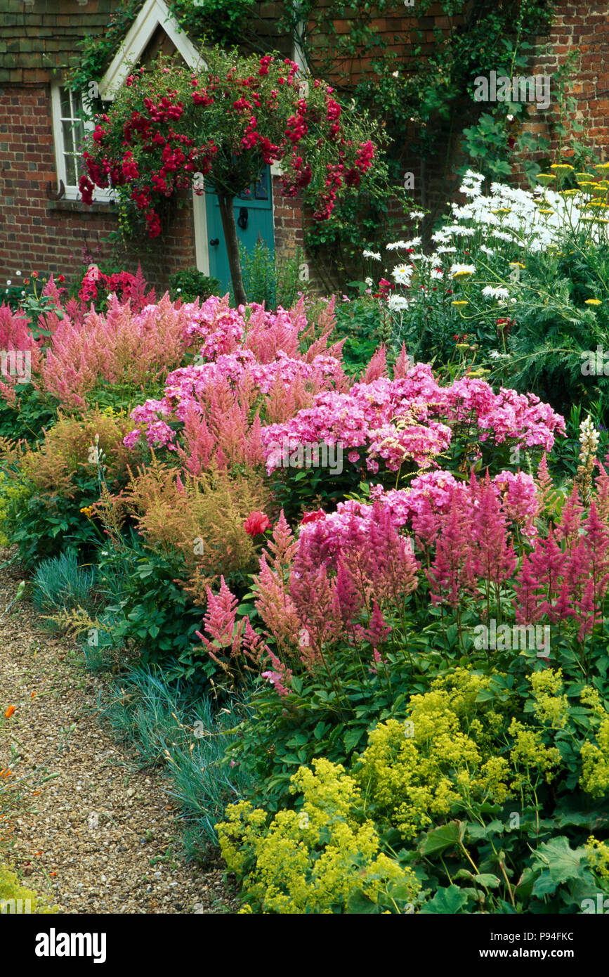 Pink Phlox and Astilbe with Alchemilla Mollis in summer garden border in front of country cottage Stock Photo