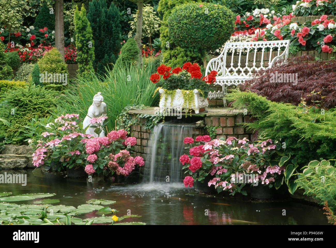Water Feature in Garden with Pond and Waterfall. White seat with pink hydrangeas,begoniasand geraniums . Stock Photo