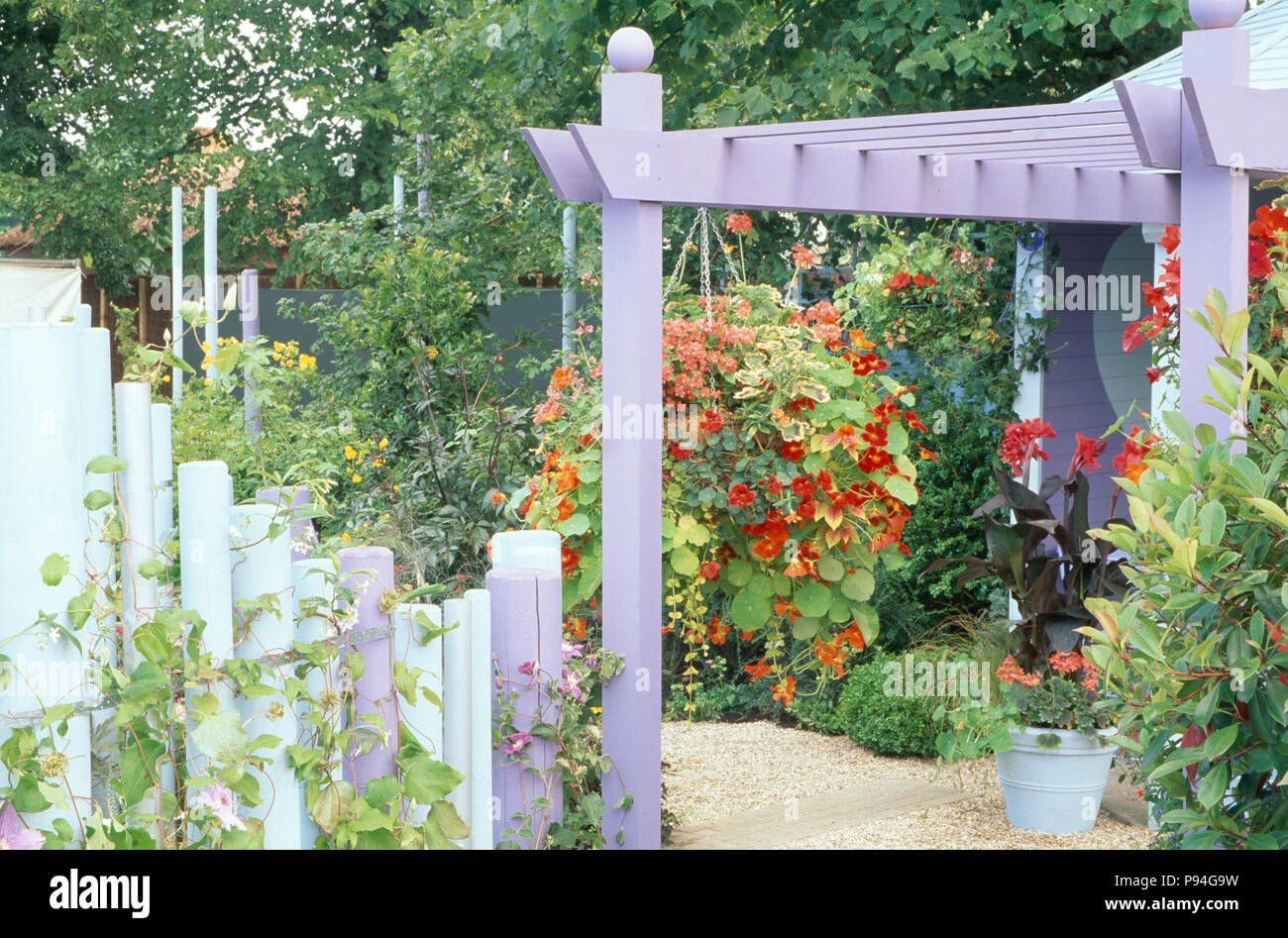Orange nasturtiums in hanging basket on mauve pergola in country garden Stock Photo Alamy