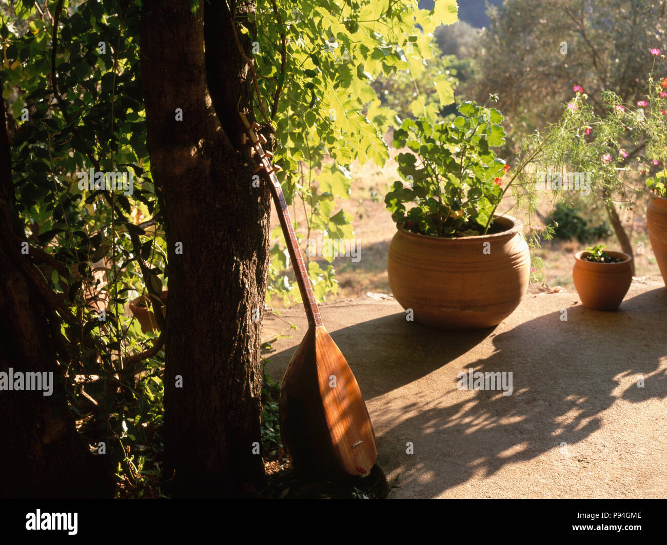 Tree spade hi-res stock photography and images - Alamy