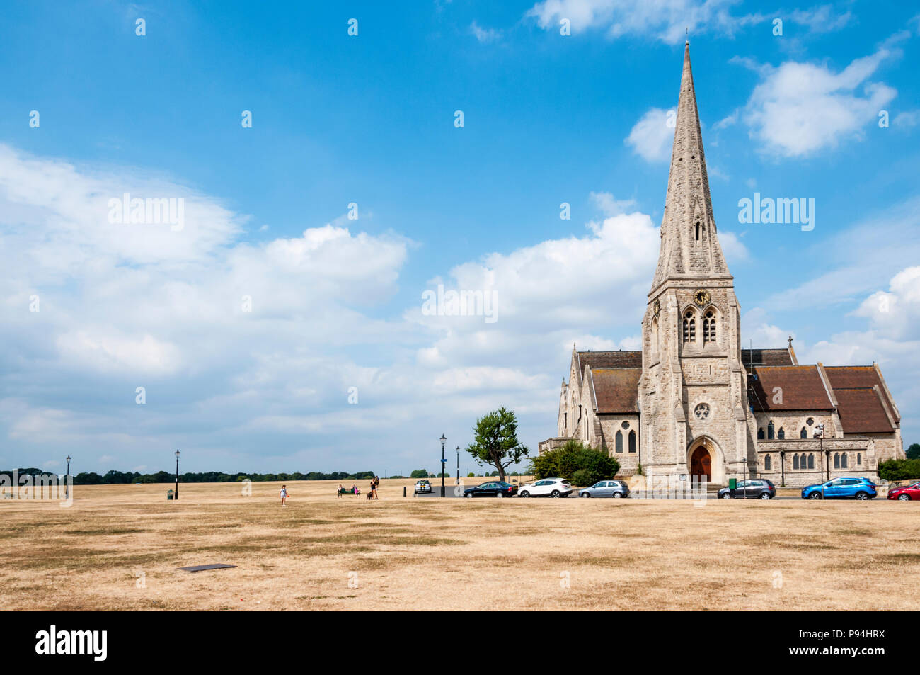 Dry, brown grass on the heath at Blackheath during the hot summer of 2018 Stock Photo