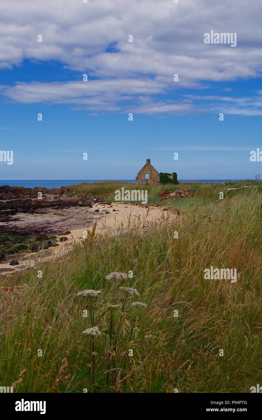 Ruined Cottage on the Fife Coast Path. Boarhills, Fife, Scotland, UK