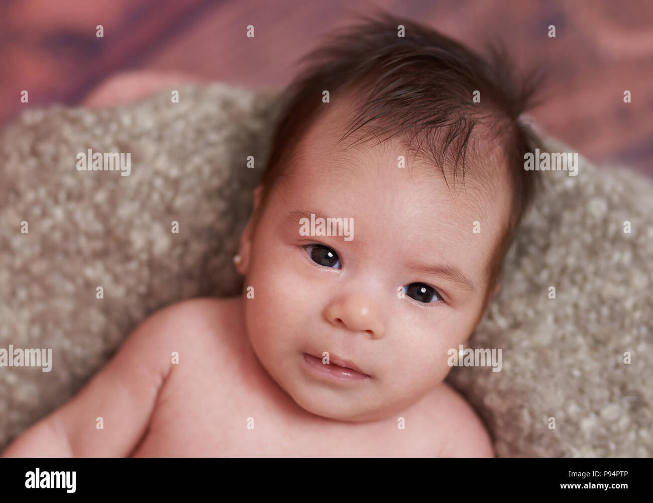 Portrait of small baby girl laying on gray blanket background Stock Photo