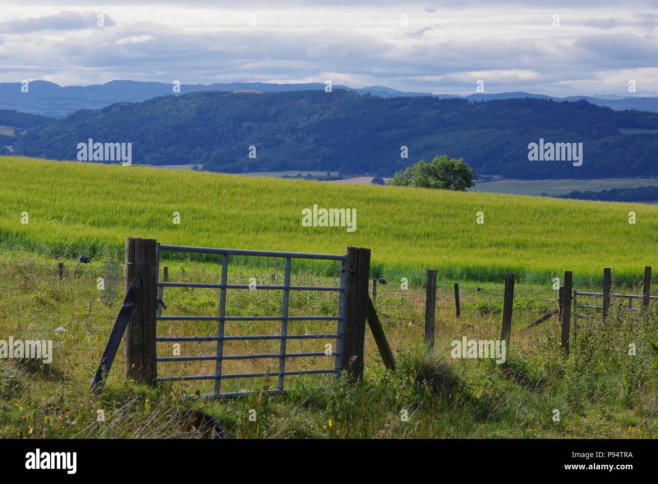 View of fence and fields beyond hires stock photography and images Alamy