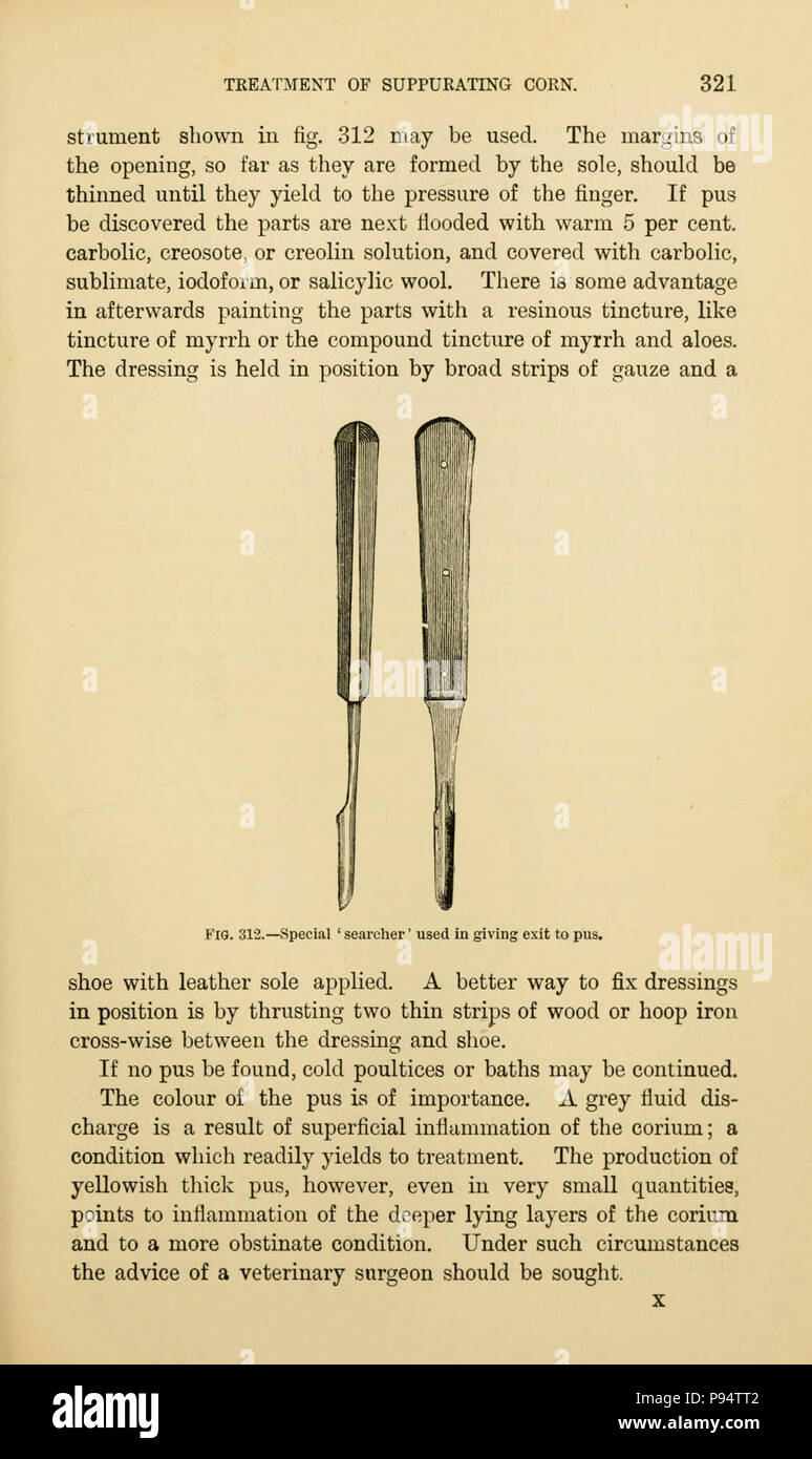 A handbook of horse-shoeing (Page 321) . Stock Photo