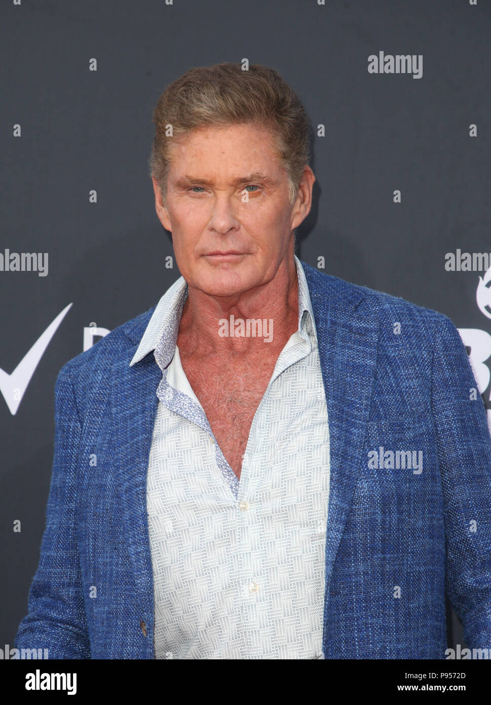 David hasselhoff david hasselhoff roast hires stock photography and