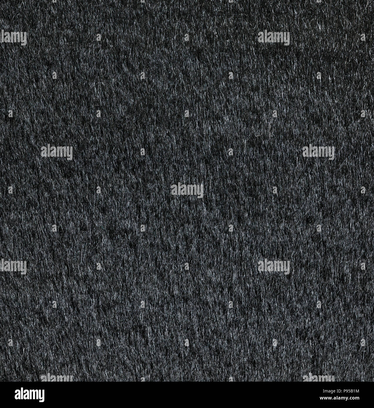 Black fur texture closeup Stock Photo
