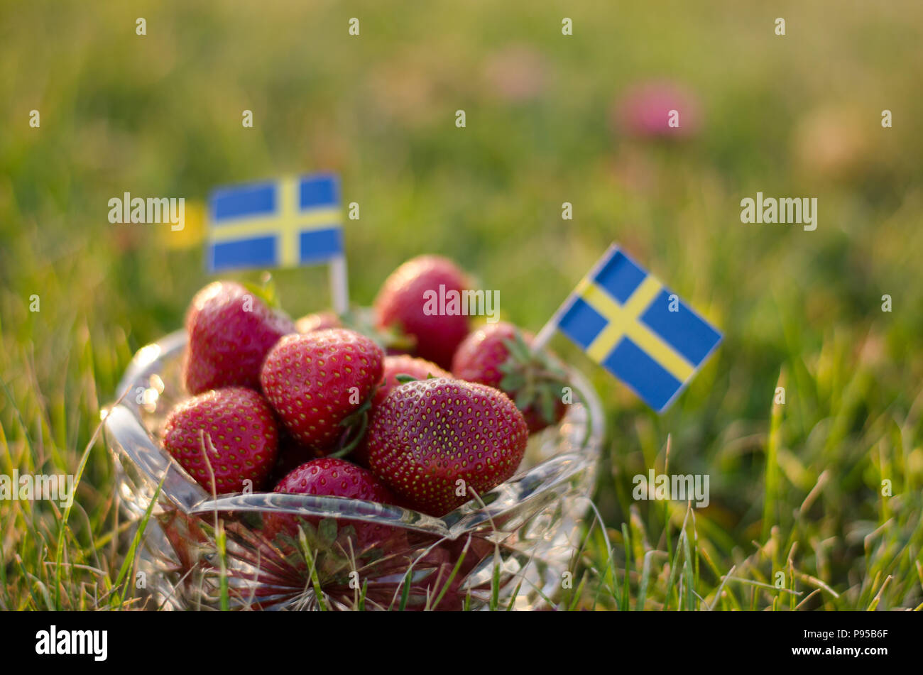 Strawberries in a bowl with swedish flags with grass in the background Stock Photo Alamy
