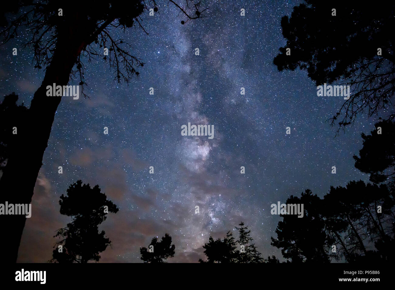 Milky Way in the night sky over the forest Stock Photo - Alamy