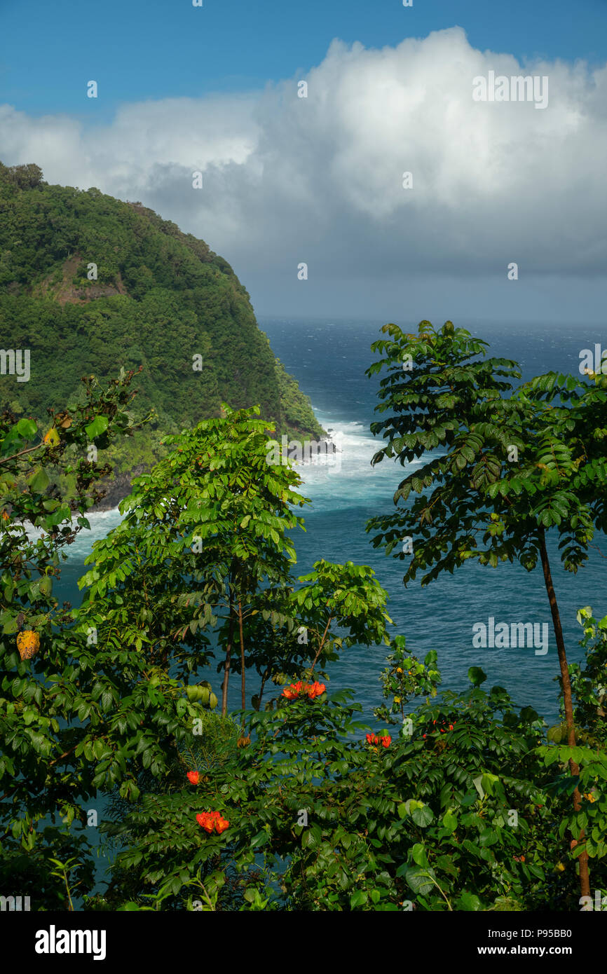 South Pacific, USA, Hawaii, Hawaiian, Maui, Hana, Hana Highway Stock