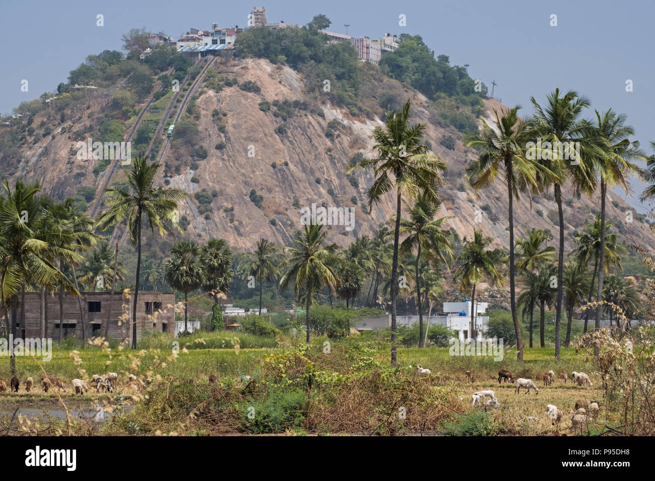 View of the Palani temple, famous throughout southern India and dedicated to the Hindu deity Murugan who is revered locally Stock Photo