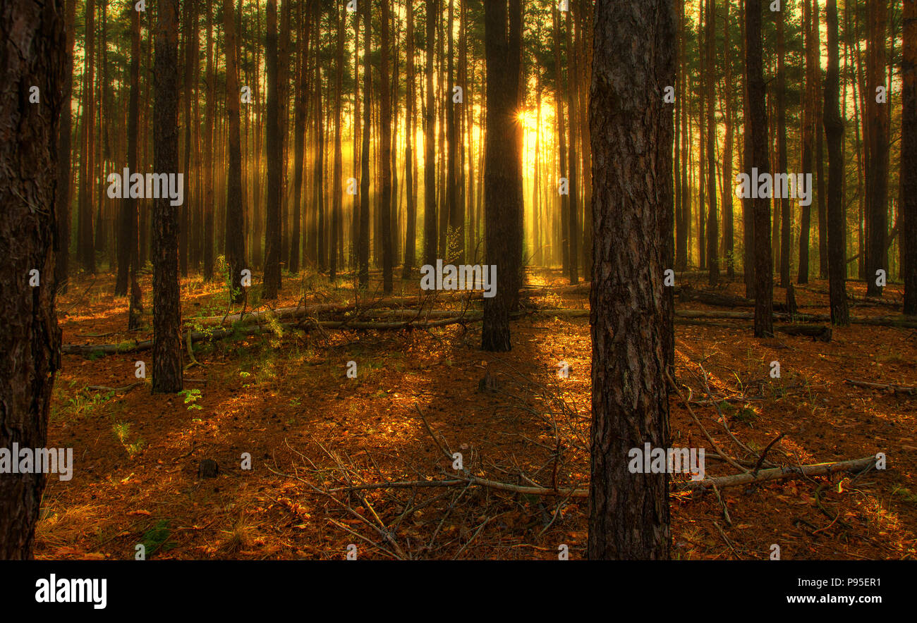 Colors of rays hi-res stock photography and images - Alamy