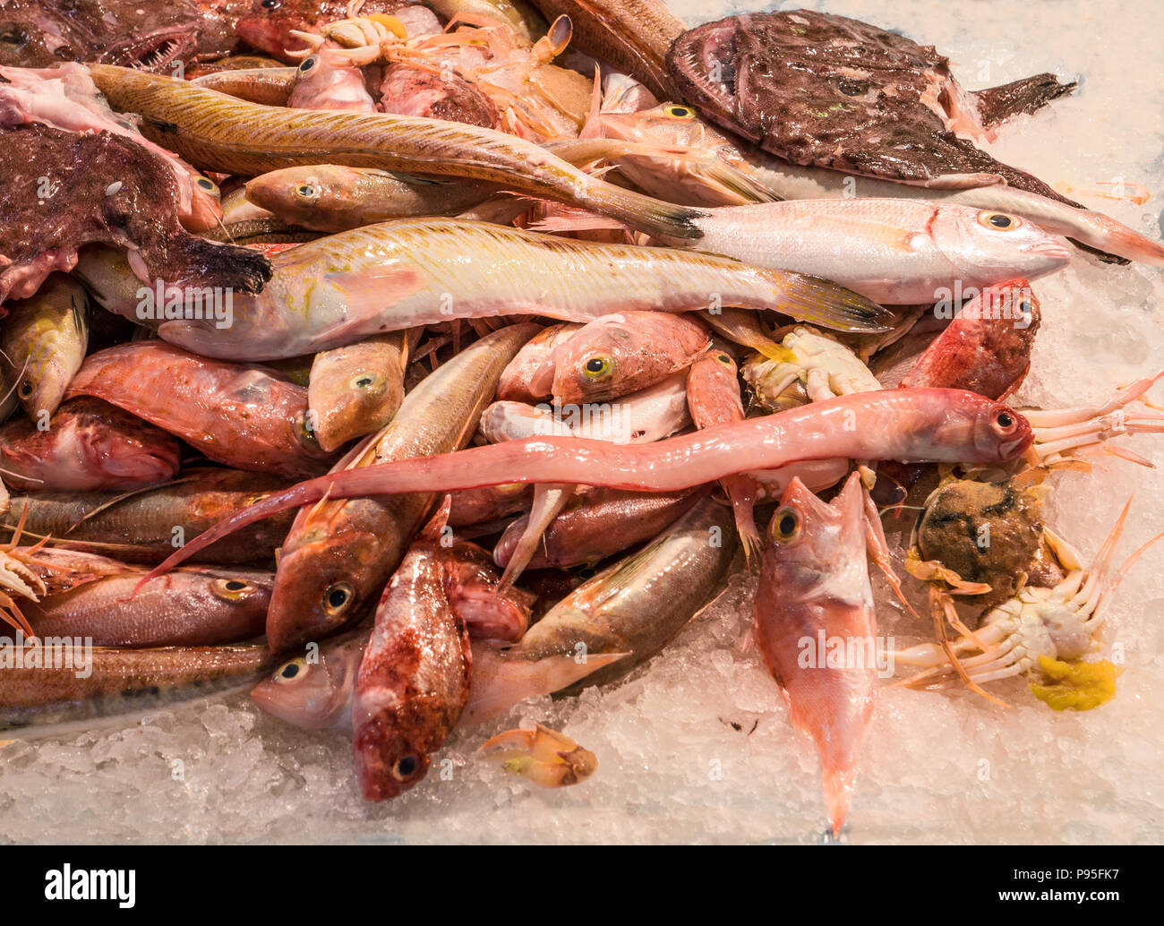 mixed fresh fish for the preparation of an exquisite sea soup Stock ...