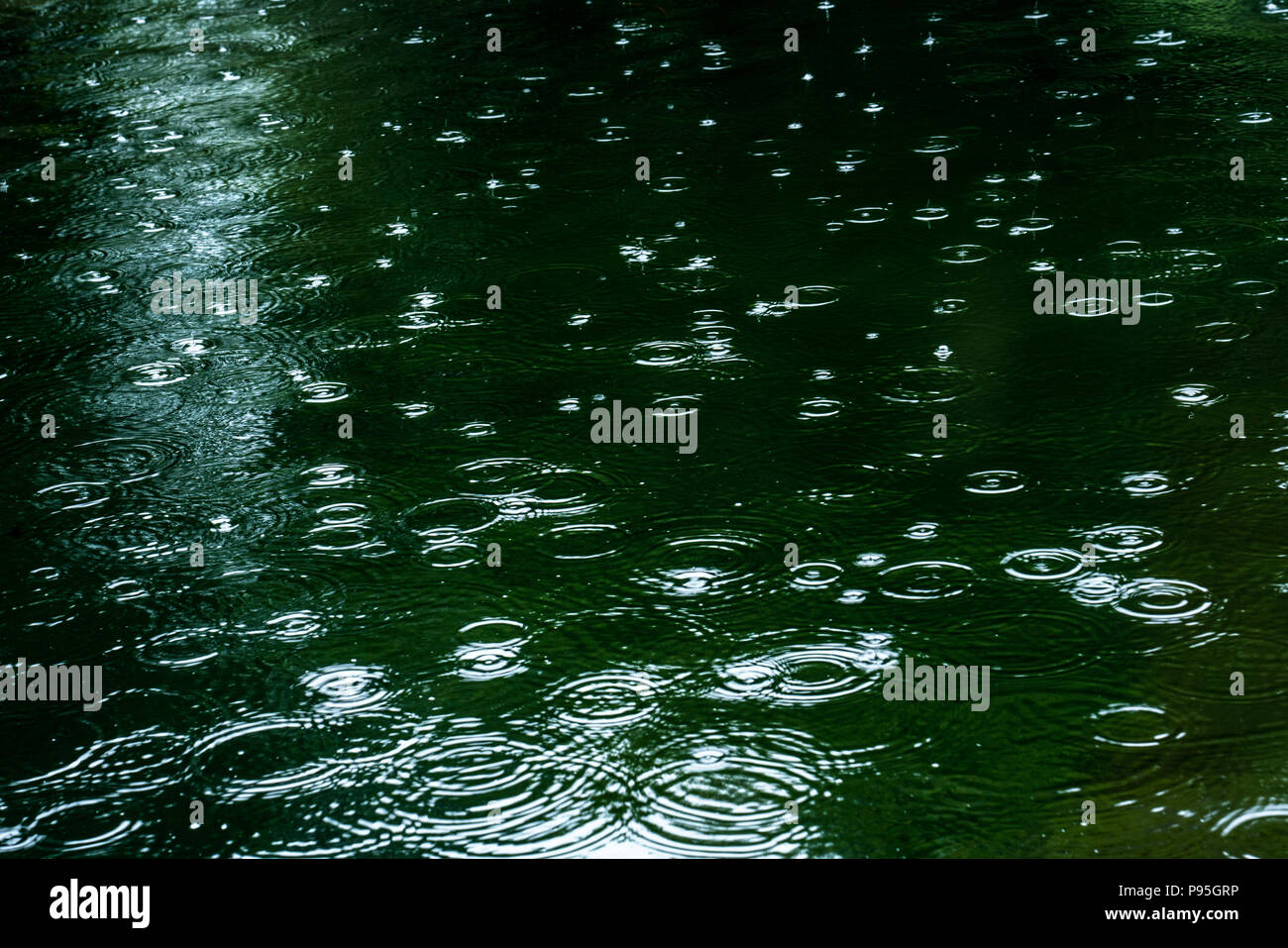 Droplets hitting water surface. Adachi Museum Garden, one of Japan's
