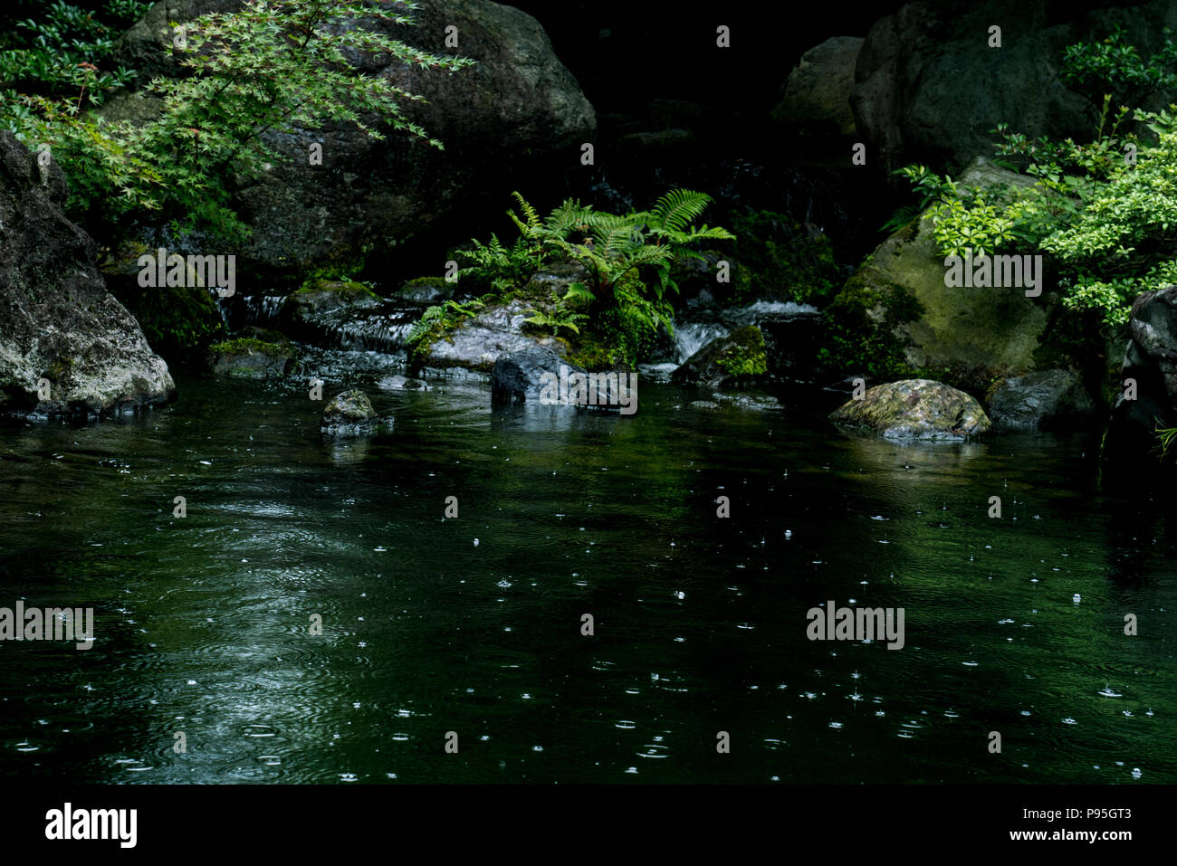Droplets hitting water surface. Adachi Museum Garden, one of Japan's most beautiful gardens. Stock Photo