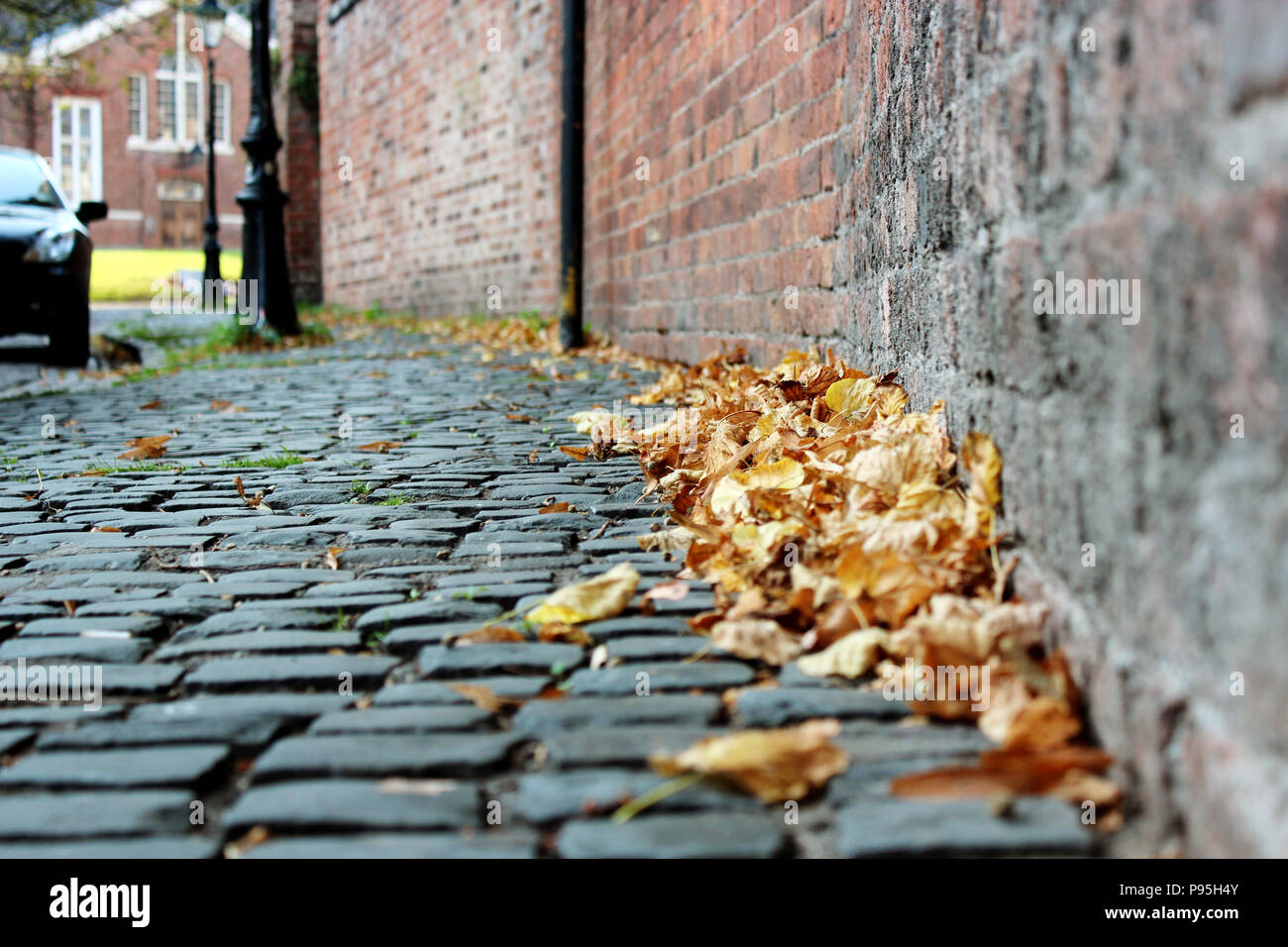 Autumn leaves on a cobbled street Stock Photo - Alamy