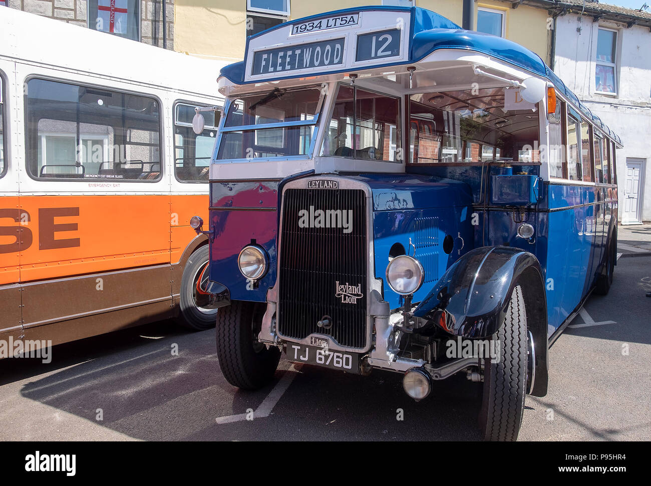 Vintage buses on display at vintage bus rally Stock Photo