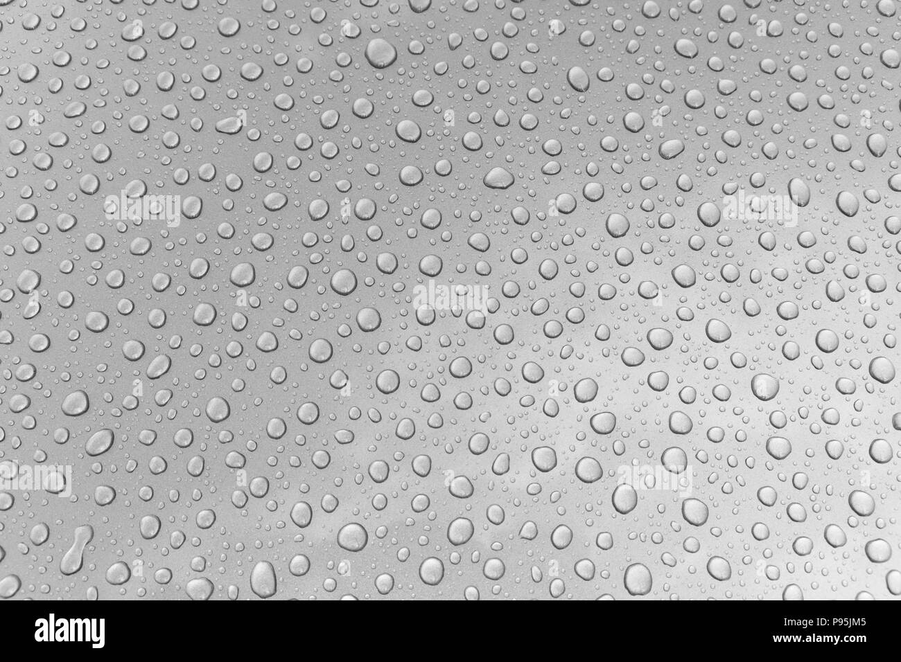 A monochrome (black and white) picture of raindrops on a car with metallic silver paint Stock Photo