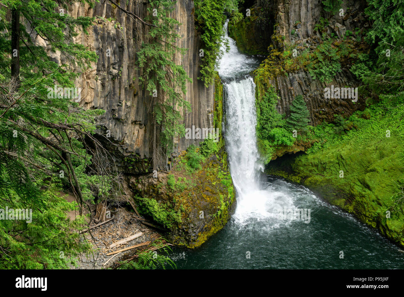 Toketee Falls, North Umpqua National Forest, Oregon, Usa Stock Photo
