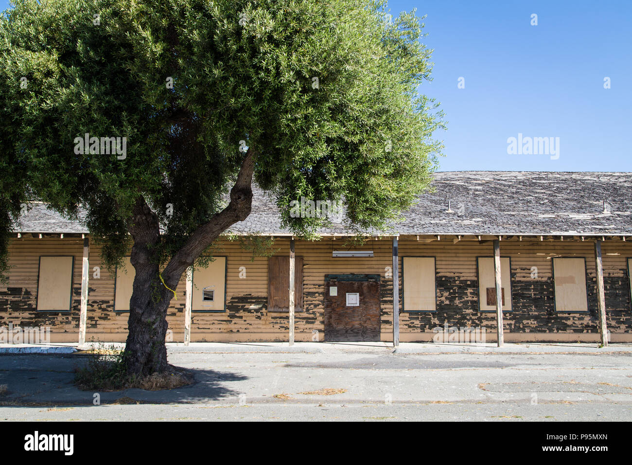 A tree in front of a boarded up, abandoned building of Naval Station